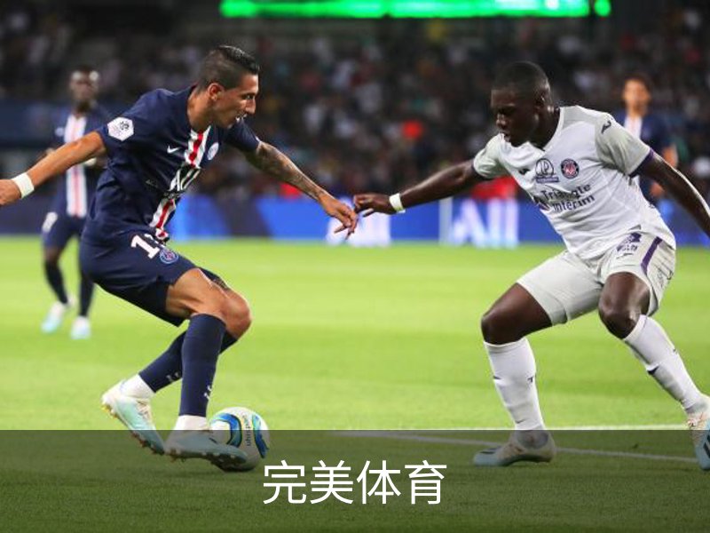 完美体育概况